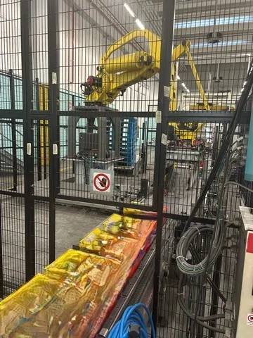 Used Ocme Palletizer Pegasus photo 4