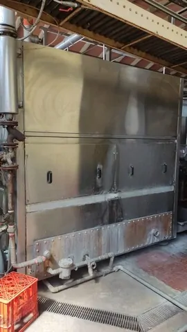 Used Bottle-Washer Macero Bodini Nexus photo 4
