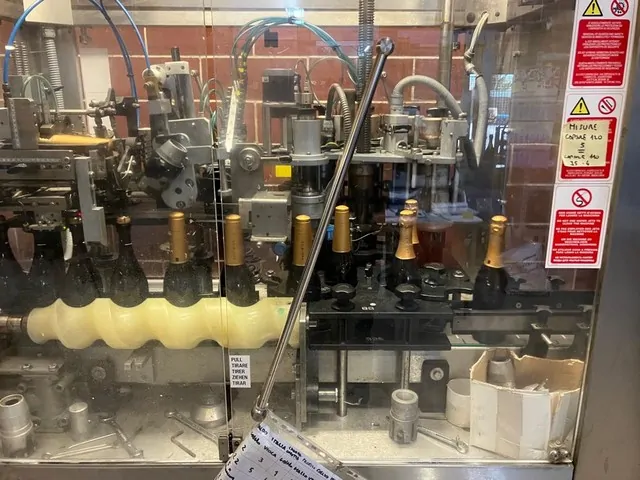 Used Capsuler Robino&Galandrino Fenix 2 CO — used capsuling machines