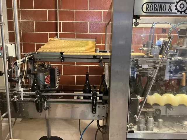 Used Capsuler Robino&Galandrino Fenix 2 CO photo 4