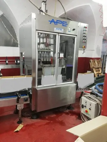 Used Case Packer Ape Inca 1200 — used case packers for sale