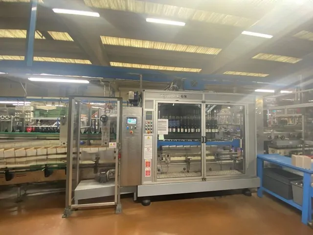 Used Case Packer Maspack Accupack 3.6 — used case packers