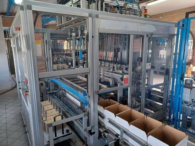 Encartonadeira Mas Pack Case Packer Maspack Hori Usada — linha de engarrafamento usada para Case Packers