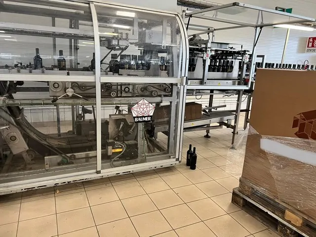 Inseridor de Colmeias Baumer Case Packer Wrap-Around Usada — linha de engarrafamento usada para Hive Inserters