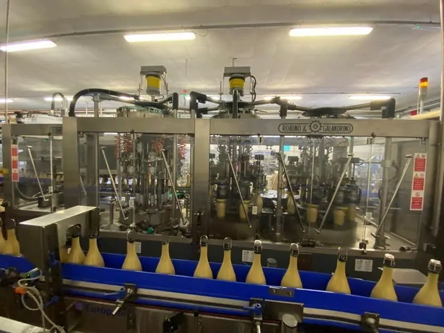 Used Caspuler Robino&Galandrino Zenith 9.000 bph photo 5