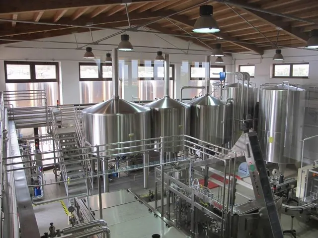 Used Complete Bottling Line Borelli for Beer photo 9