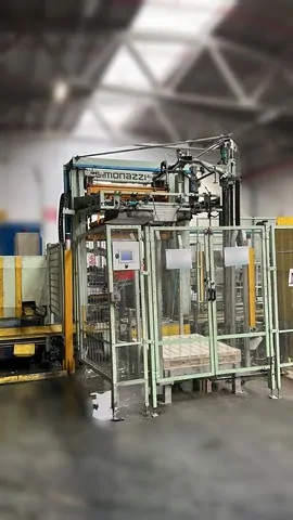 Used Depalletizer Simonazzi Griffin photo 2