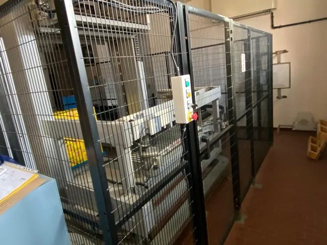 Used Palletizer Ape Pal 2000 photo 9