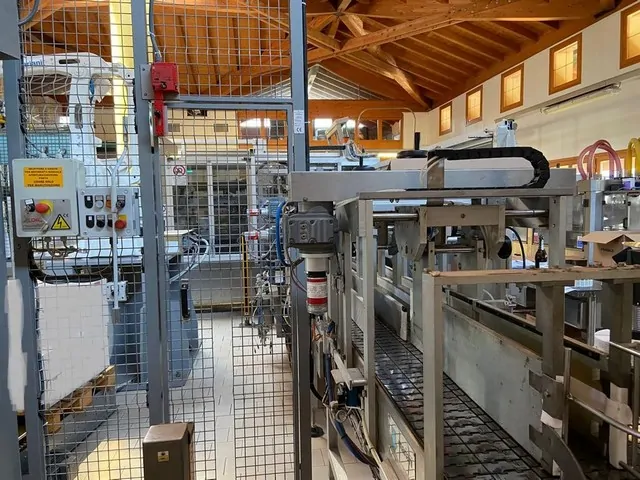 Used Palletizer Mariani Robot Abb Irb 460-110 — used palletizers