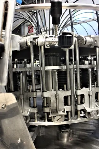 Used rinser Bertolaso Neck Rins 7.000 bph photo 4