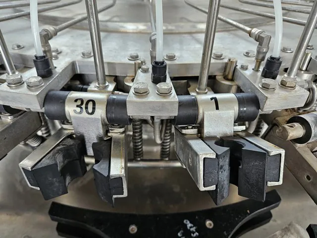 Used rinser Fm 30 Poggio 10.000 bph — used rinsers for sale
