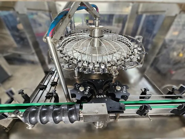 Used rinser Fm 30 Poggio 10.000 bph photo 2