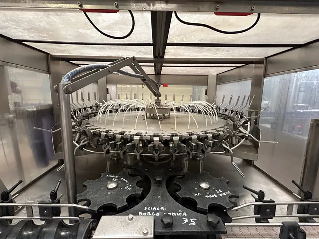 Used rinser Fm 40 Poggio 9.000 bph — used rinsers