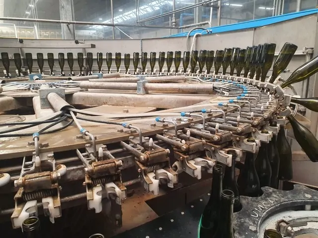 Used rinser Simonazzi 20.000 bph photo 3